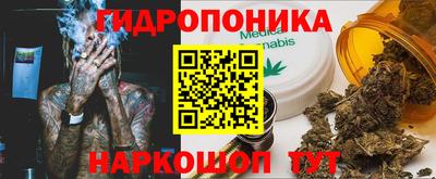 apvp Славгород