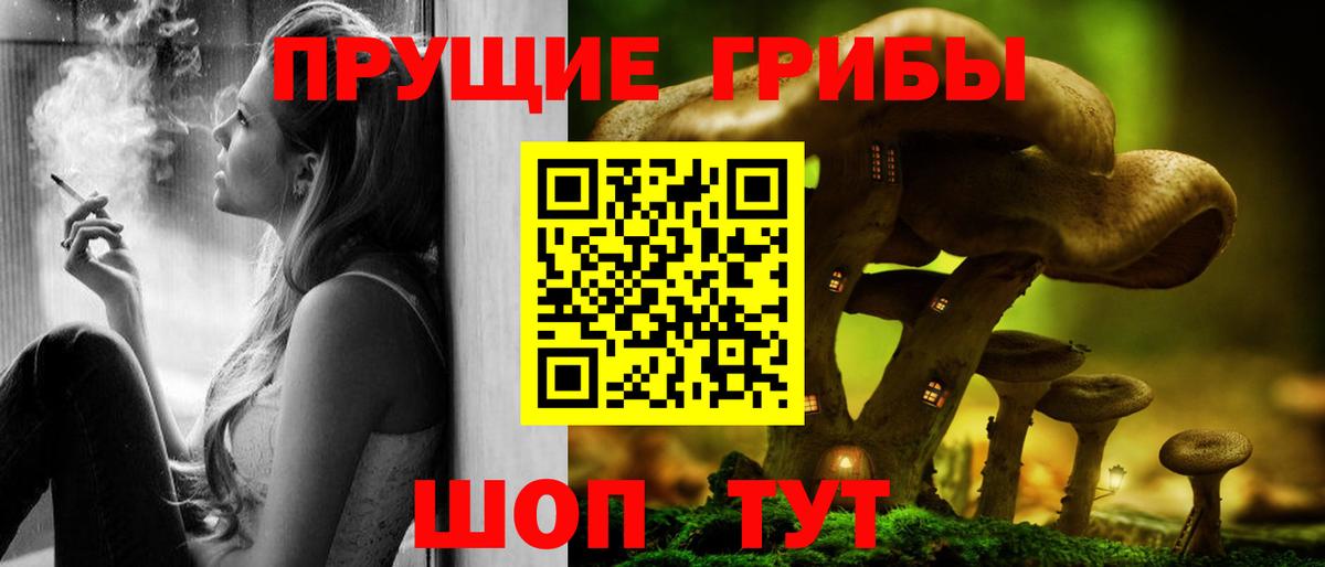 Псилоцибиновые грибы Cubensis Ногинск